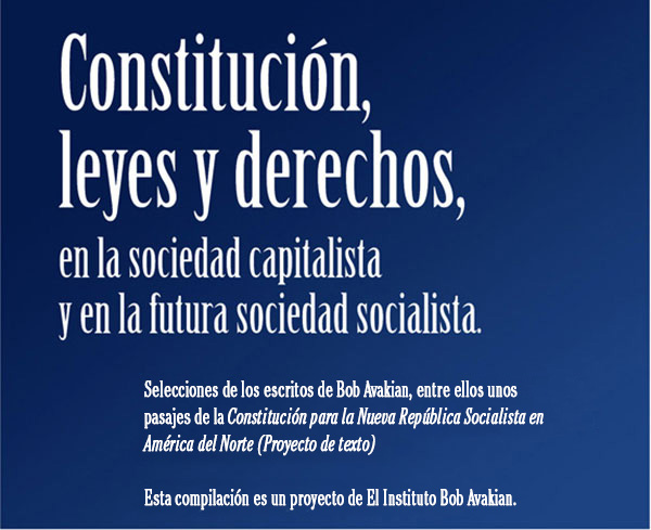 Constitucion, leyes y derechos en la sociedad capitalista y en la futura sociedad socialista