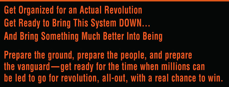 Get organzied for an actual revolution