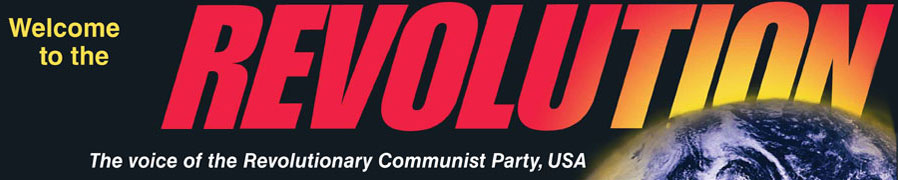 Revolution Banner